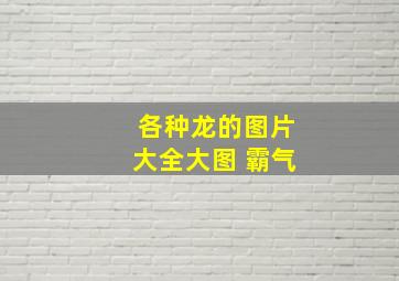 各种龙的图片大全大图 霸气